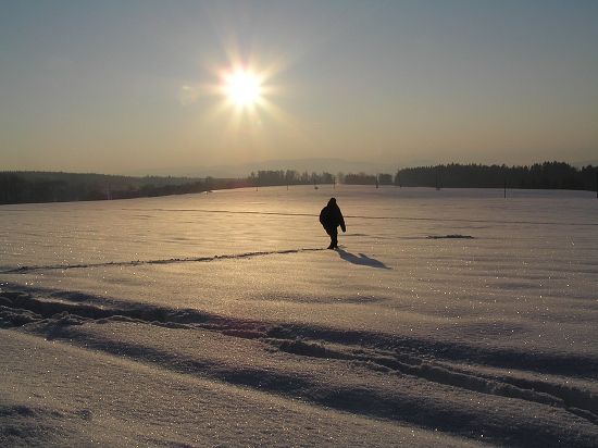 Vstra frontovikov 2006